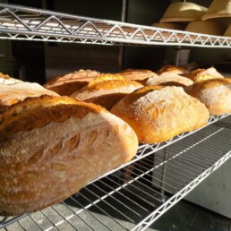 builin beg loaves on shelves